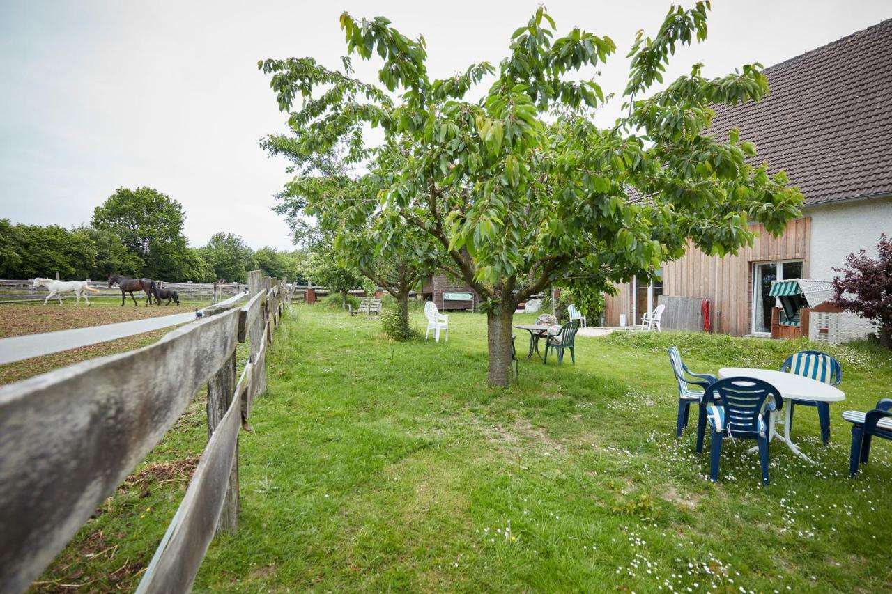 Reiterhof Zwei Linden Apartment Меле Екстериор снимка
