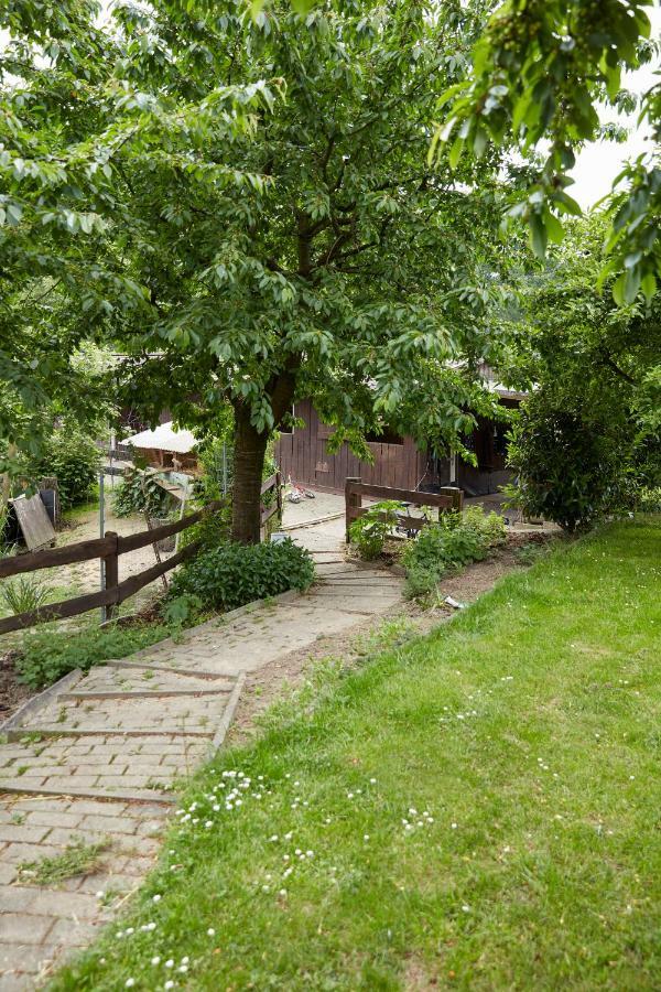Reiterhof Zwei Linden Apartment Меле Екстериор снимка